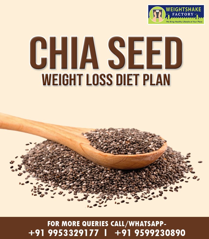 Chia Seed Weight Loss Diet Plan » Weightshake Factory